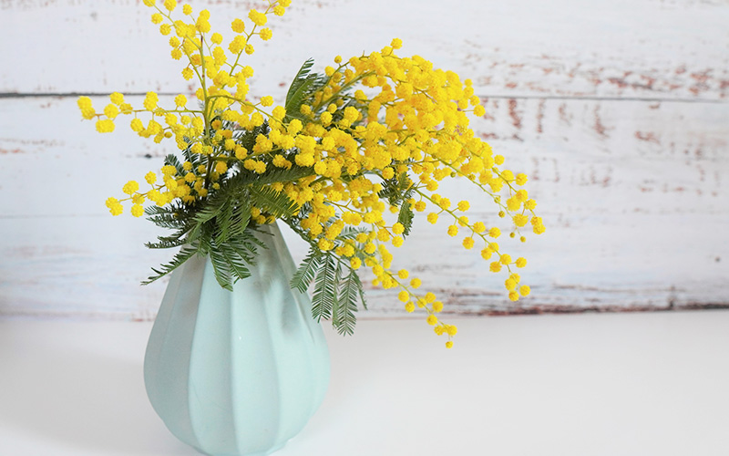 筒の一輪挿しの洗浄